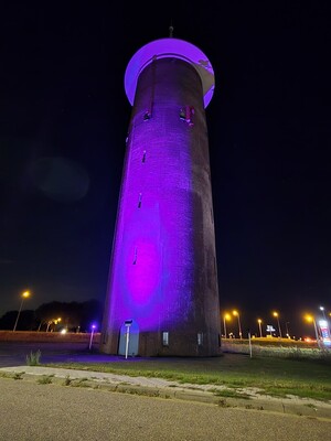 paarse-toren-dirksland